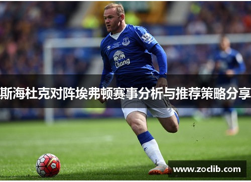 斯海杜克对阵埃弗顿赛事分析与推荐策略分享